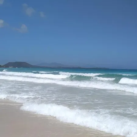 La Flor Del Atlantico Corralejo