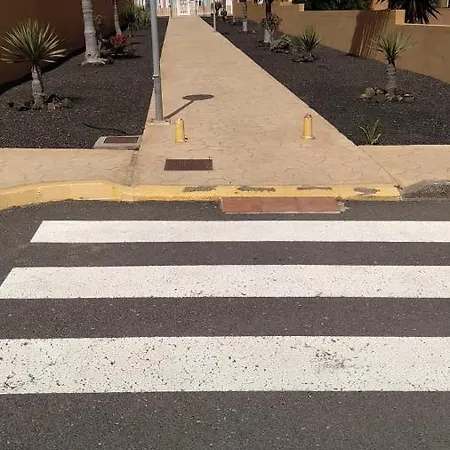 La Flor Del Atlantico Corralejo