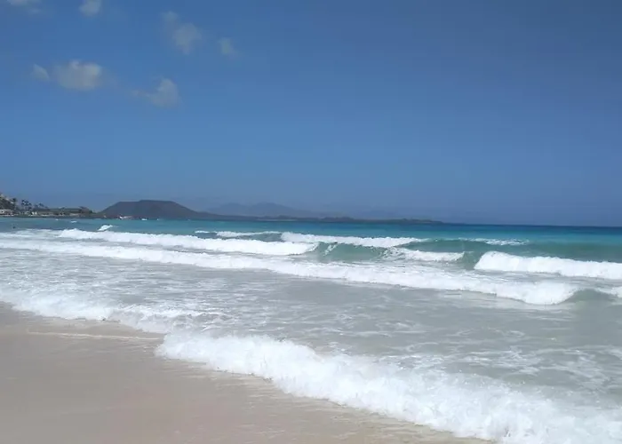 La Flor Del Atlantico 科拉雷侯