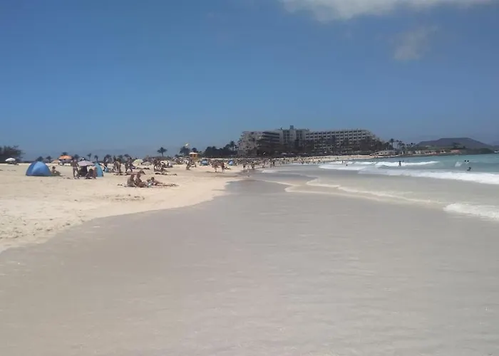 La Flor Del Atlantico 科拉雷侯