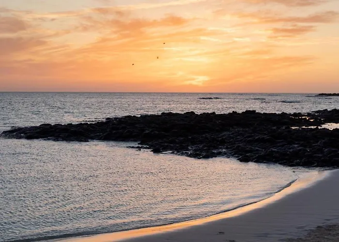 La Flor Del Atlantico * 科拉雷侯