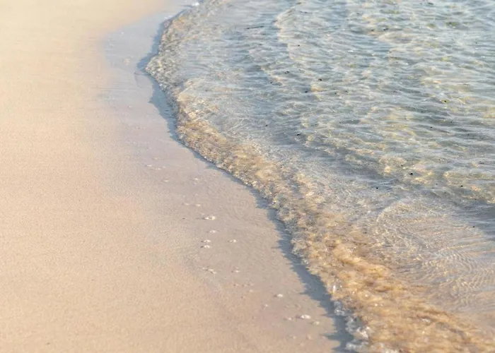 La Flor Del Atlantico * 科拉雷侯