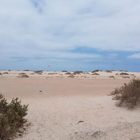 La Flor Del Atlantico